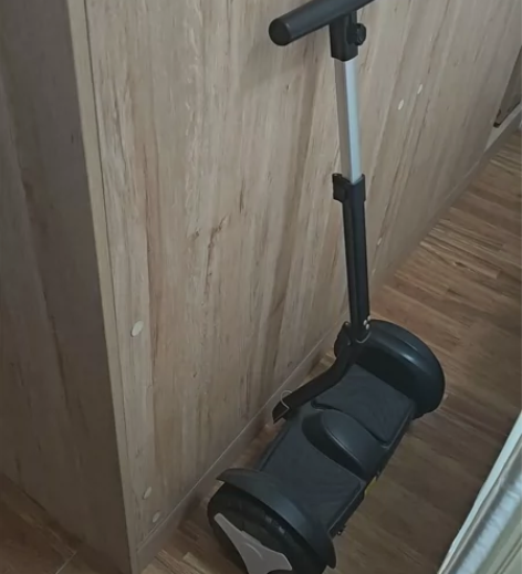 平衡车带充电器和护具，扶手可拆换腿控， 很...