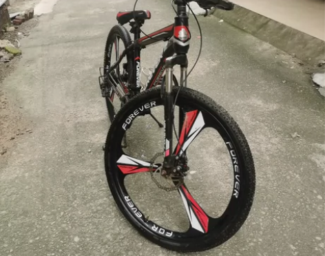 上海永久大品牌。山里单车。需要的私信。 感...