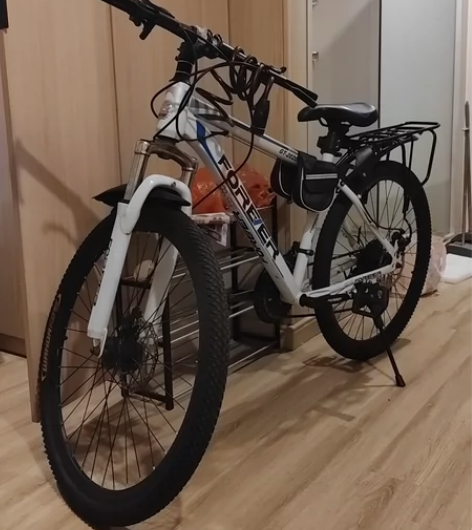 上海永久山地车自行车26寸21速（拼多多买...