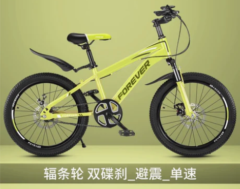 永久自行车儿童中大童6-8-10岁以上女孩...