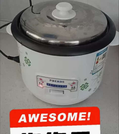 清仓特价 包邮 全新 老品牌红三角  半球...