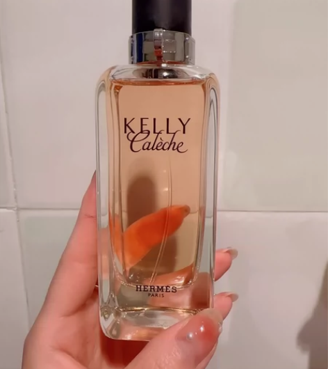 ermes 爱马仕 Kelly Calec...