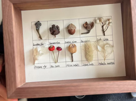 手作北欧复古风植物标本装饰画   家居软装...