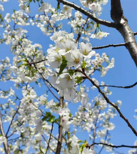 时尚顾问 置衣/造型指导 时装导购 服装导...