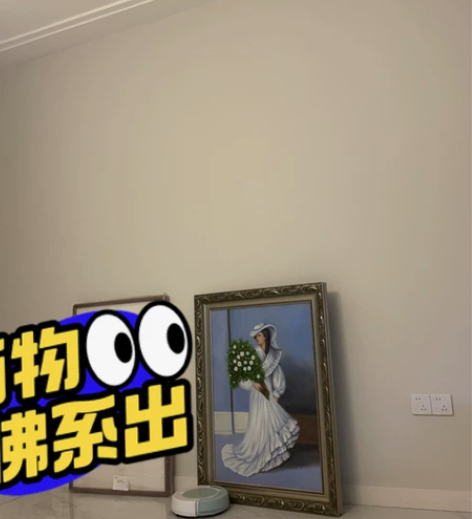 出好看的装饰画 仅支持温江自提 温江 凤凰...