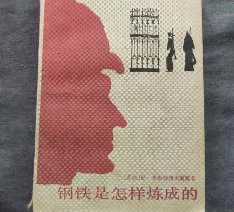 #兴趣收藏好货 钢铁是怎样炼成的 作者: ...