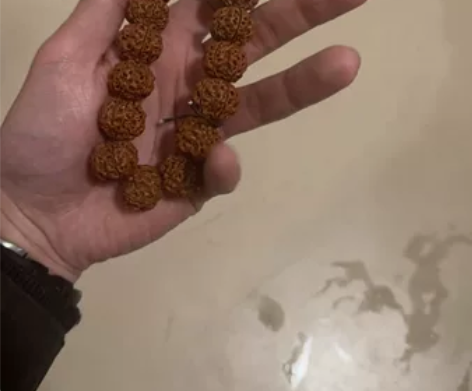 17年尼泊尔原生态大金刚古龙籽油性密度高 ...