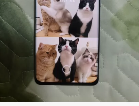 ?小米12x 23年购于找靓机 完美使用 ...