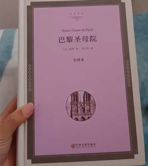 巴黎圣母院(全译本)(精)/名家译丛 感兴...