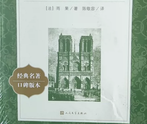 巴黎圣母院(包装略有破损)书本完整良好 感...
