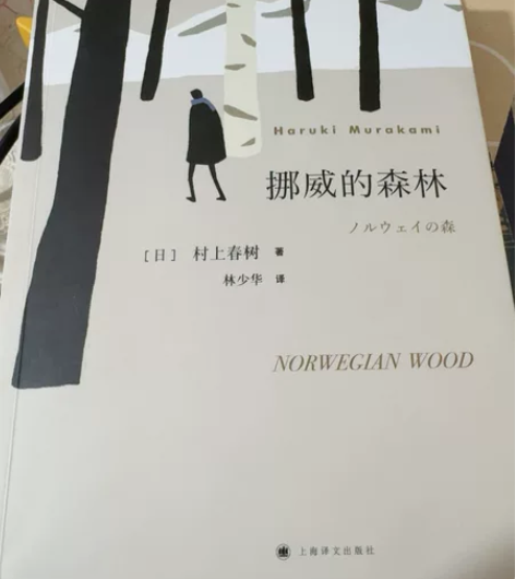 外国小说 《挪威的森林》 页面较新，几乎全...