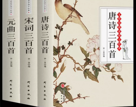 正版 唐诗三百首宋词元曲三百首全集注释 初...