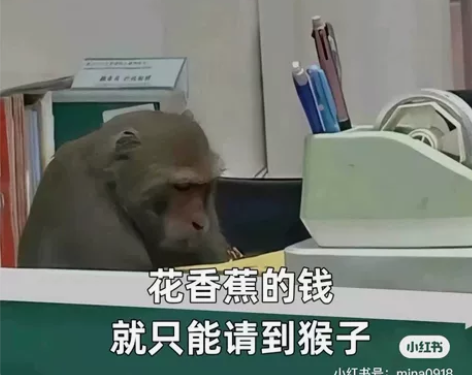 留学生网络安全专业课程解惑，密码学基础，数...