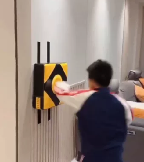 【全新包邮】家用拳击健身搏击训练,成人小孩...