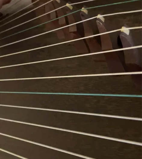 古筝太多了，都是我的宝贝。这个是专门去上海...