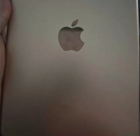 iPadmini5 64G金色wifi版 ...