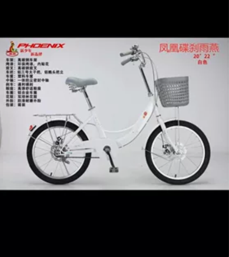 出凤凰全新单车 双碟刹 22寸 送锁 不远...