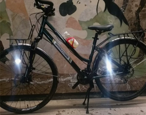 自行车，普利司通城市旅行车。27速，油刹，...