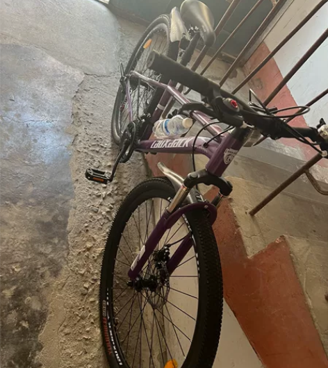 山地车，菲利普，铝合金车架，双碟刹，铝合金...