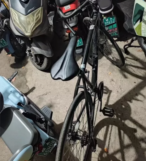 菲利浦公路自行车去年年底买的没怎么骑,比较...