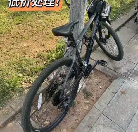 原价2690元 全新美利达公爵600山地自...