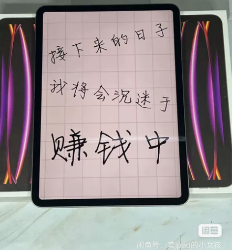 ?98新100电池2022款iPad Pr...