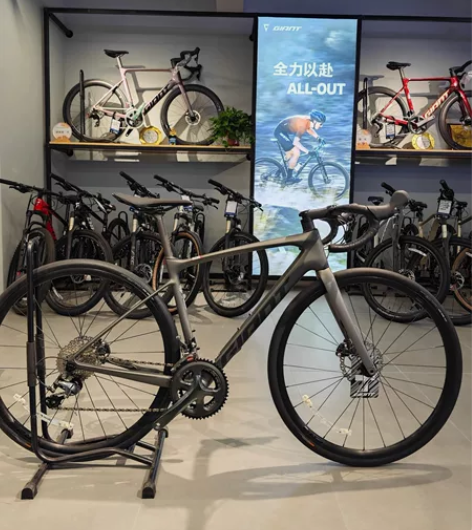 【最后两辆！】捷安特公路车逃脱二escap...