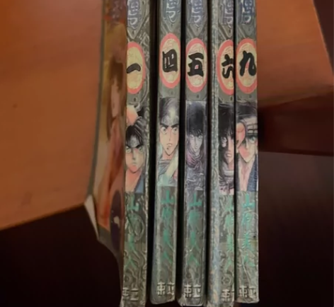 处理五本《龙狼传》漫画，好看，刺激 实图实...