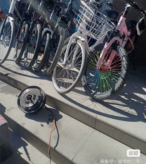 店里新款国标家用代步电瓶车以及凤凰飞鸽永久...