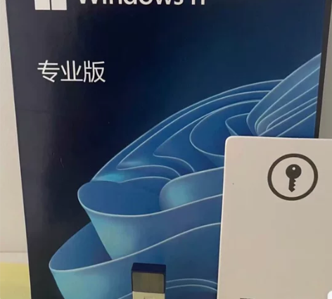 全新官方正版win11专业版彩包，win1...