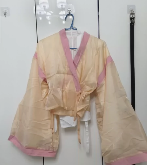 晋制汉服三件套，刺绣很细致，去公园玩穿过一...