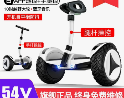 领奥官方旗舰店2022新款电动平衡车腿控双...
