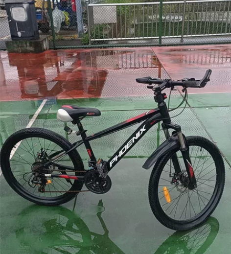 凤凰24寸，山地车不变速，可以正常骑用，便...