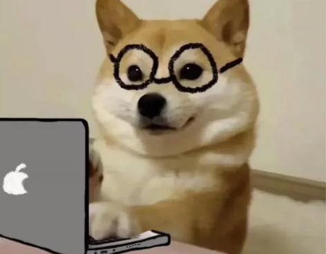 一对一辅导！！ 接小学语数英在读大学生，理...