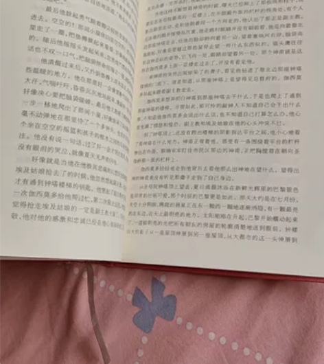 巴黎圣母院 感兴趣的话点“我想要”和我私聊...
