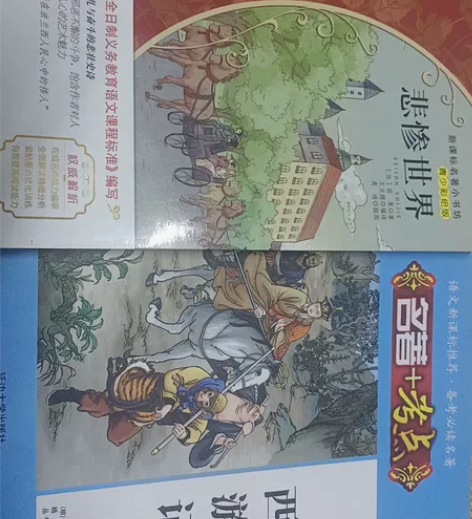 悲惨世界彩绘版 西游记轻微使用痕迹￥11....