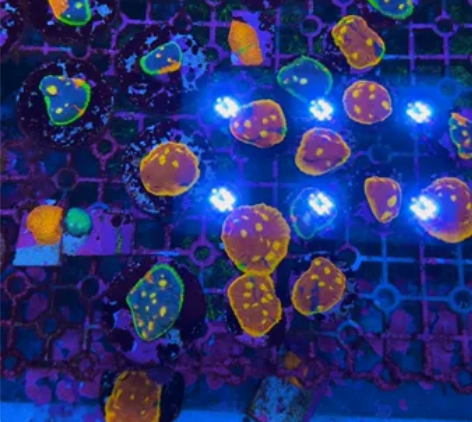 调色盘150一盘 感兴趣的话点“我想要”和...