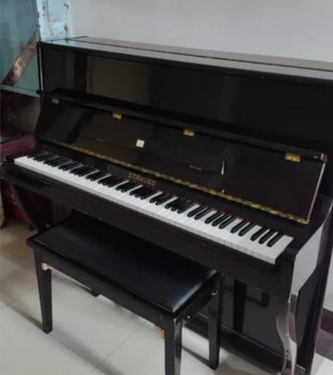 施特劳斯钢琴3000块钱出售，地址怀化市区...