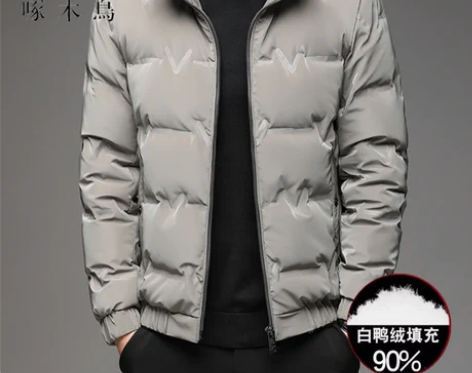 啄木鸟冬季羽绒服男立领轻薄保暖90白鸭绒外...
