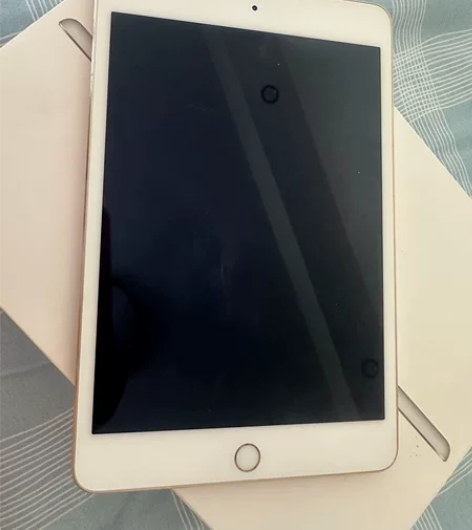 从家里找出来的iPad mini5-64G...