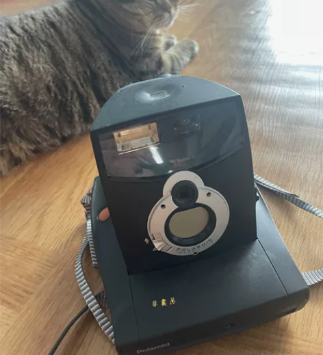 宝丽来立即成像相机一部，不能使用 配件机二...