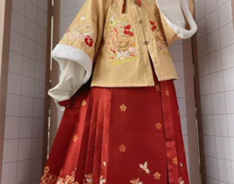 玉术【虎戏金鳞】原创汉服女明制披袄加绒加厚...