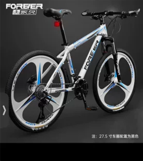 永久自行车 白蓝色 钢架  骑了一次没时间...