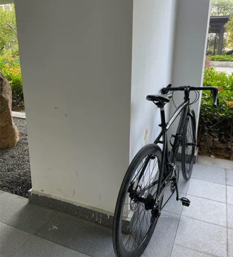菲利普公路自行车 还是挺好骑的（邮费对半）...