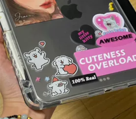 仅售个人，贩子勿扰 送笔送配件 iPadp...