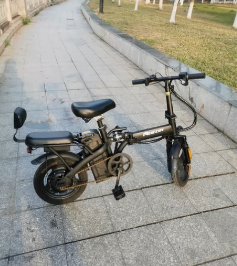 飞鸽折叠电动车，美女个人一手车23年2月购...