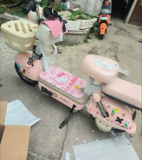 低价处理，飞鸽电动车，全新，48v12a，...