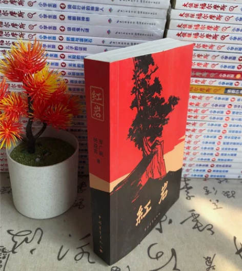 【清仓】正版原著二手书包邮 红岩 罗广斌 ...