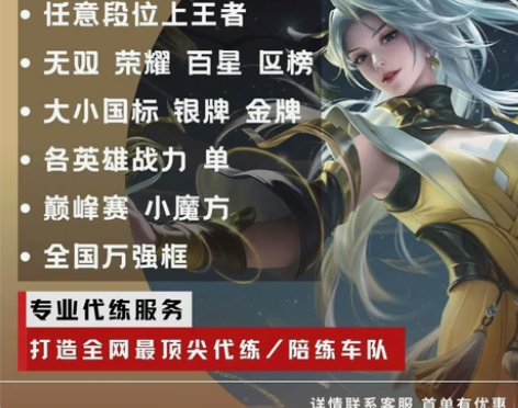 首单送星!王者荣耀代练陪练巅峰赛小国陪玩战力