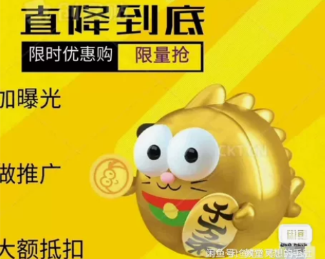 【今日特价】（购买1w币直接拍的价格！闲鱼...